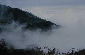 Fog in Sri Lanka