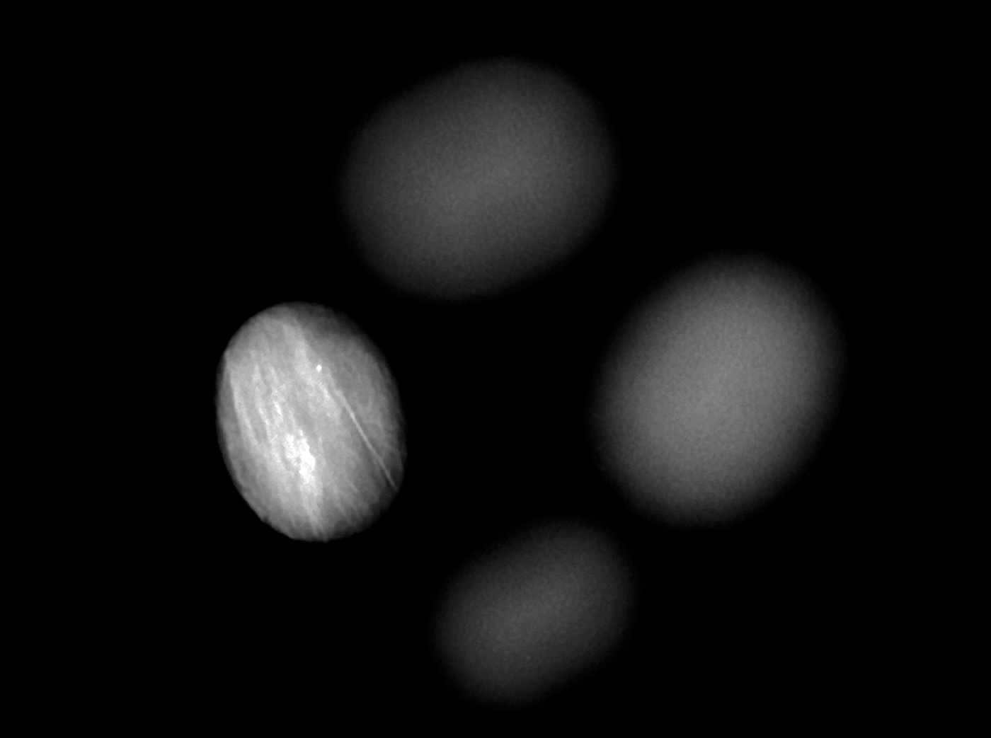 Figure 14. X-ray image of the new generation cobalt-doped glass-filled sapphire (left), showing opaque areas along the fractures. In contrast, a natural sapphire (top), an original Tanusorn-treated sapphire (right) and a Verneuil synthetic sapphire show no such x-ray opacity in the fissures. (Image: GIT). Click on the photo for a larger image.