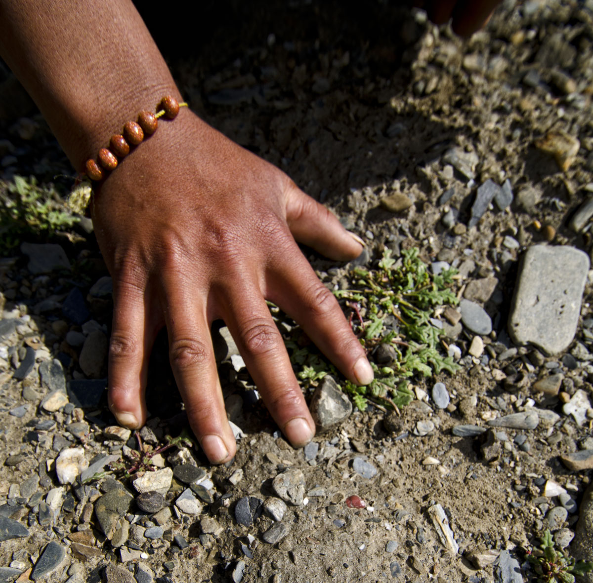 Seeing red A Tibetan shepherd points out a small piece of andesine partially embedded in the soil at Dhongtso 5 (Zha Lin). Photo: Richard W. Hughes