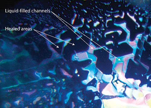 Figure 1.  Anatomy of a healed fracture A well-healed fracture in a sapphire lying roughly parallel to the basal plane. The healed areas appear dark, while the undigested fluids are highly reflective. Note that the pattern of healing relates to the underlying crystal structure, with angles of healed areas following the underlying crystallographic structure (in this case, at 60/120°). Photo © Richard W. Hughes