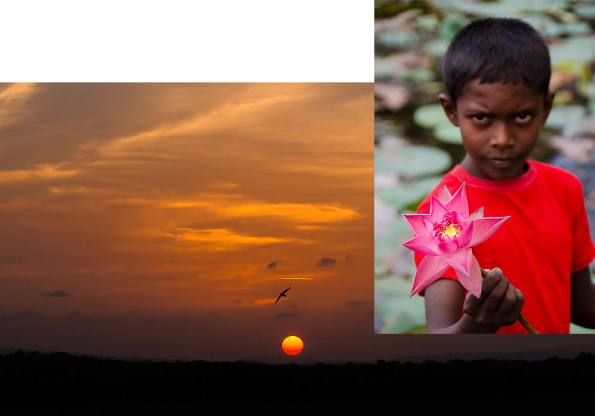 A marriage made in heaven The ideal color of a padparadscha has been described by some as the marriage between a lotus flower and a sunset, each shown above in Sri Lanka. Photos © Wimon Manorotkul (left) & Richard W. Hughes (right).