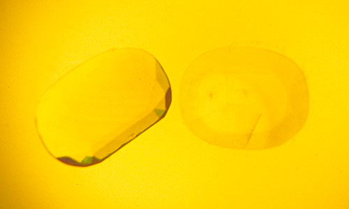 Figure 1. Mellow yellow Two yellow sapphires immersed in di-iodomethane. Yellow stones in a yellow liquid over a yellow light make it extremely difficult to see color zoning.  Photo: © Richard W. Hughes