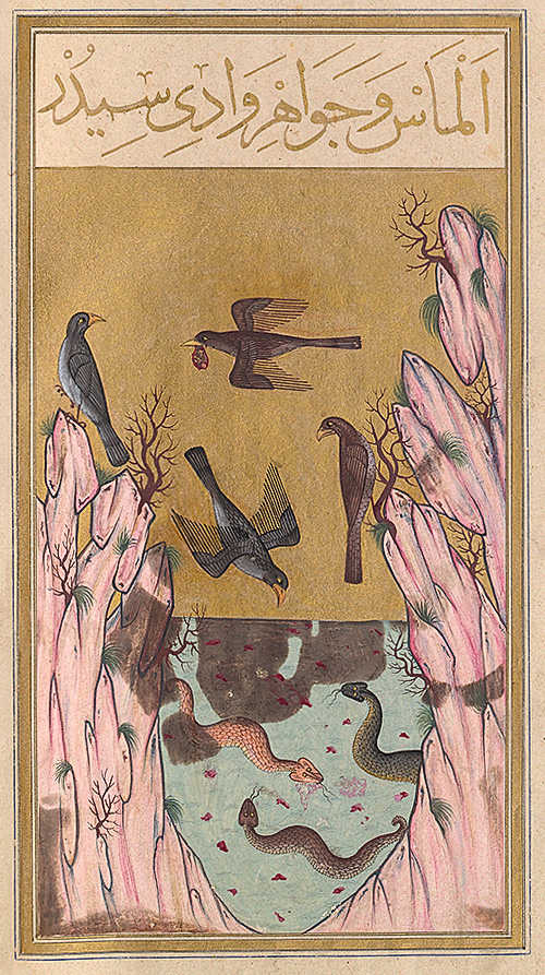 An Oriental miniature dated 1582, representing the Valley of Serpents, guarded by snakes. Eagles carry in their beaks pieces of meat in which diamonds are embedded, illustrating an Indian legend that appears in the tale of Sinbad the Sailor in the Thousand and One Arabian Nights. Photo and document courtesy of the Bibliothèque Nationale, Paris.